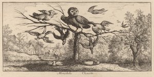 Monedula, El Búho de Albert Flamen