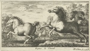 Caballos Equus le Cheval (título sobre objeto) Diferentes especies animales (título de la serie) de Albert Flamen