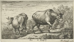 toros Bos le Boeuf (título sobre objeto) Diferentes especies animales (título de la serie)