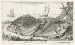 Dos dabs en la playa limanda. La Limanda. (título en el objeto) Peces y otras criaturas marinas: tercera serie de agua salada (título de la serie) Poissons de mer (título de la serie) de Albert Flamen