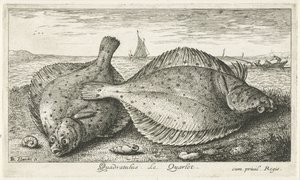 Dos sollas en la playa Quadratulus. Le Quarlet. (título en el objeto) Peces y otras criaturas marinas: tercera serie de agua salada (título de la serie) Poissons de mer (título de la serie) de Albert Flamen
