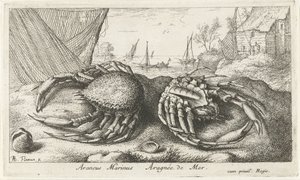 Dos centollos cerca de una red de pesca Araneus Marinus Aragnée de Mer (título sobre el objeto) Peces y otras criaturas marinas: segunda serie de agua salada (título de la serie) Poissons de mer (título de la serie) de Albert Flamen
