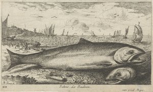 Dos salmones en la playa Salmo. Le Saulmon (título sobre objeto) Peces y otras criaturas marinas: primera serie de agua salada (título de la serie) Diverse Especes de Poissons de mer (título de serie) de Albert Flamen