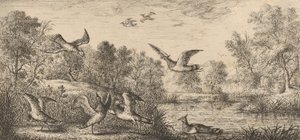 El Avefría: Libro de Aves, 1655-1660 de Albert Flamen
