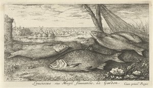 Cuatro cucarachas en una red de pesca Leuciscus siue Mugil fluuiatilus. Le Gardón. (título en el objeto) Peces y otras criaturas marinas: primera serie de agua dulce (título de la serie) Diverse Especes de Poissons d