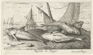 Cuatro salmonetes en la playa Rubellio Le Rouget. (título en el objeto) Peces y otras criaturas marinas: segunda serie de agua salada (título de la serie) Poissons de mer (título de la serie) de Albert Flamen
