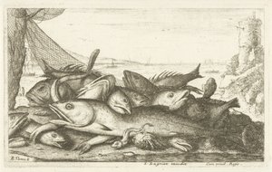Pesca del cangrejo ermitaño Diferentes especies de peces (título de la serie) Diverse Especes De Poissons tant de Mer, que d