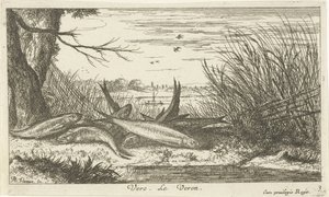Cucarachas en la orilla del río Vero. Le Verón. (título en el objeto) Peces y otras criaturas marinas: segunda serie de agua dulce (título de la serie) Seconde partie de Poissons d