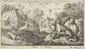 zorros Vulpes le Renard (título sobre objeto) Diferentes especies animales (título de la serie) de Albert Flamen