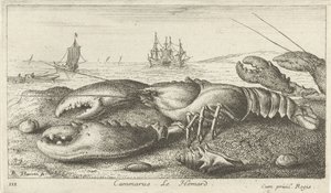 Langosta en la playa
Cammarus. Le Homard (título en el objeto)
Peces y otros animales marinos - agua salada primera serie (título de la serie)
Diverses Especes de Poissons de mer (título de la serie) de Albert Flamen