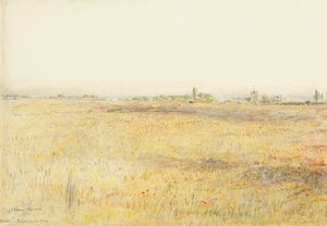Campos de maíz, Hooe. Bexhill on Sea (acuarela con tinta)