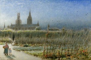 Judías verdes de Caudebec, Normandía