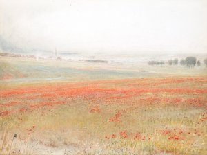 La Cizaña. Amapolas en el Maíz. Salisbury de Albert Goodwin