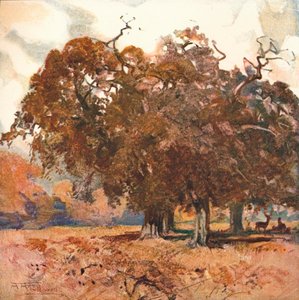Paisaje, c1904