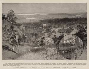 Cría de ovejas en Australia, una estación modelo cerca de Ballarat