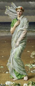 Conchas marinas de Albert Joseph Moore
