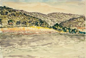 Paisaje costero en la Isla de Port Cros