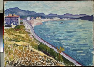 "San Juan de Luz" Vista de la costa vasca en San Juan de Luz (Pirineos Atlánticos). Pintura de Pierre-Albert (Albert) Marquet (1875-1947) 1907 Óleo sobre lienzo. Museo del Hermitage, San Petersburgo (San Petersburgo) de Albert Marquet