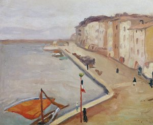 Puerto de Saint-Tropez de Albert Marquet