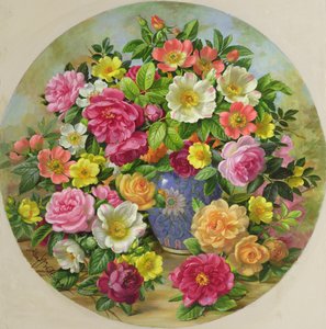 Homenaje a la rosa silvestre de Albert Williams