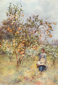 Limoneros: Primavera de Alberto Pisa
