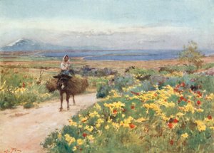 Primavera en Siracusa. Vista de Etna y Thapsos desde el sitio de Tyche