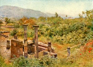 Vista desde Pompeya de Alberto Pisa