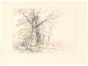 Estudio de los robles en un paisaje de Albertus Brondgeest