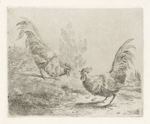 Dos gallos de pelea