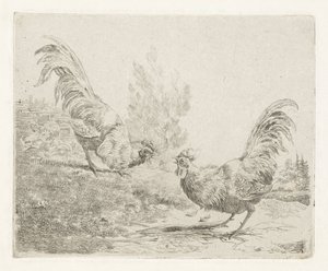 Dos gallos de pelea