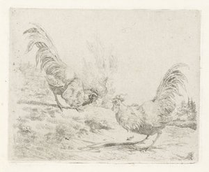 Dos gallos de pelea