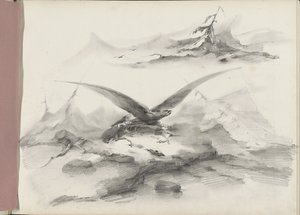 Águila volando sobre una costa con montañas de Albertus van Beest