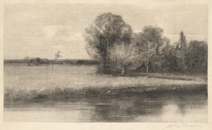 Un Prado Soleado junto a un Río