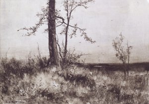 Paisaje de Albion Harris Bicknell