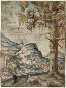 Alemán: The Large Spruce Gran abeto de Albrecht Altdorfer