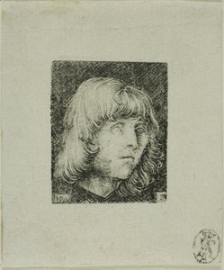 Cabeza de un joven de Albrecht Altdorfer