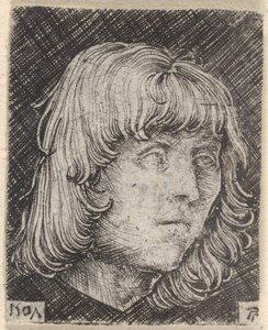 Cabeza de un joven de Albrecht Altdorfer