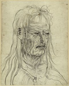  de Albrecht Altdorfer