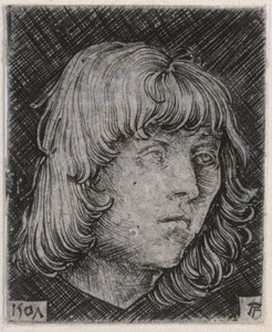 Cabeza de un joven de Albrecht Altdorfer