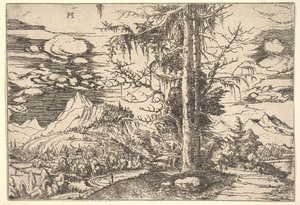 Paisaje con un Abeto Doble de Albrecht Altdorfer