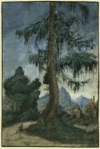  de Albrecht Altdorfer