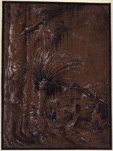 Paisaje con molino de agua de Albrecht Altdorfer