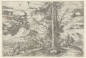 Paisaje con abeto doble de Albrecht Altdorfer