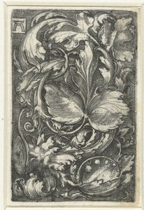 Ornamento con bladranken de Albrecht Altdorfer
