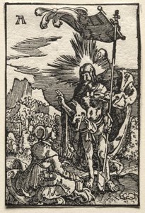 La Caída y Redención del Hombre: Cristo Apareciendo a Santa María Magdalena de Albrecht Altdorfer