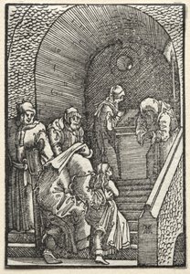 La Caída y Redención del Hombre: La Presentación de la Virgen en el Templo de Albrecht Altdorfer