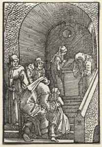 La caída y redención del hombre: La presentación de la Virgen en el templo, 1515 de Albrecht Altdorfer