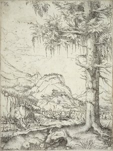 El Gran Abeto, c.1520 de Albrecht Altdorfer