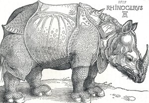 Un Rinoceronte de Albrecht Dürer