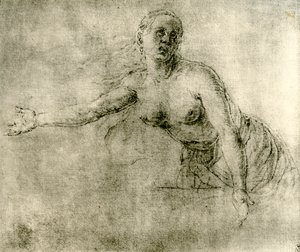 Un estudio, 1913 de Albrecht Dürer